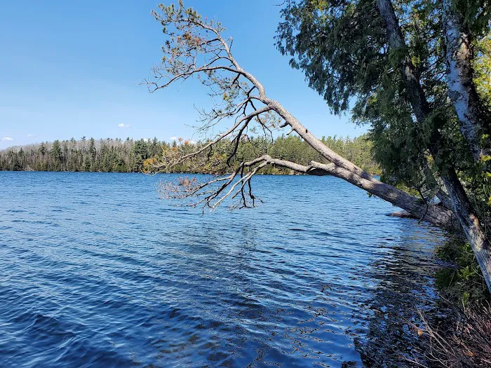 Eighteen Lake Rustic Campground 6
