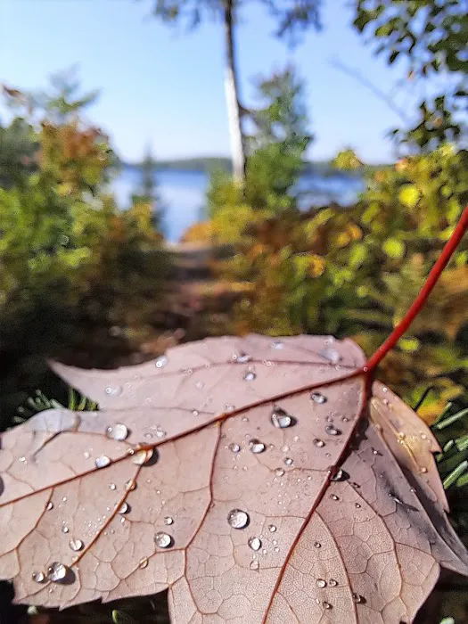 Pfeiffer Lake Campground 3