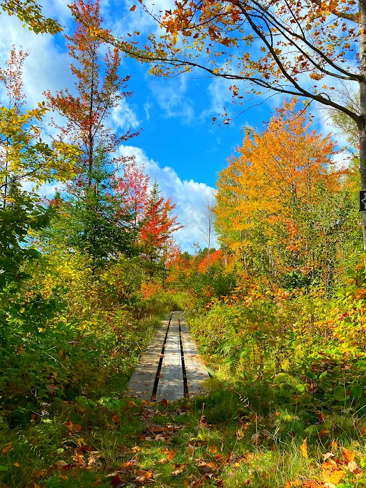 Pfeiffer Lake Campground 9