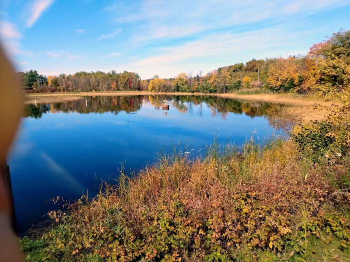 Pokegama Dam Campground 5
