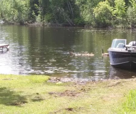 Prairie Lake Campground LLC