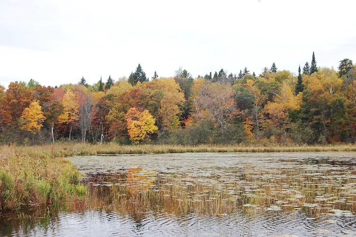 Greer lake Campground 1