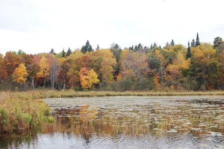 Greer lake Campground