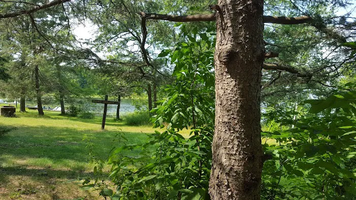 Greer lake Campground 10