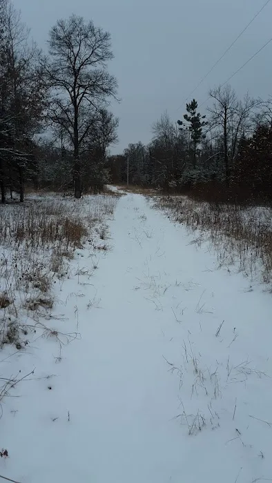 Fools Lake Campground 8