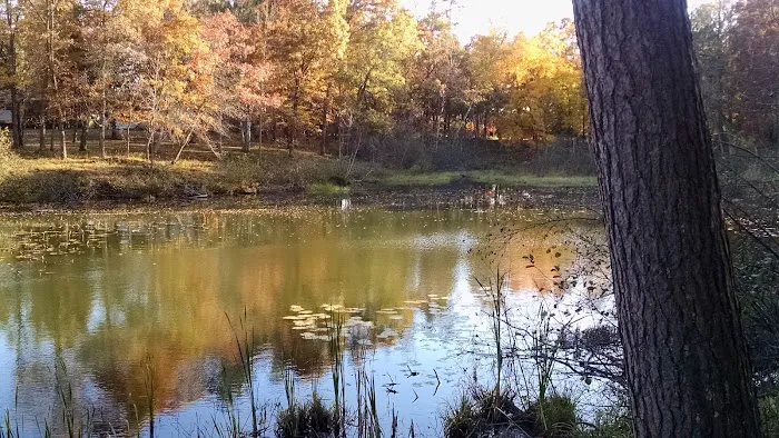 Chatham Park 2