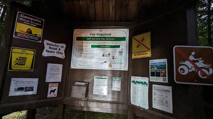Mabel Lake Campground 2