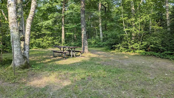 Mabel Lake Campground 1