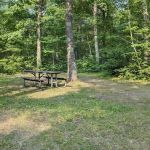 Mabel Lake Campground