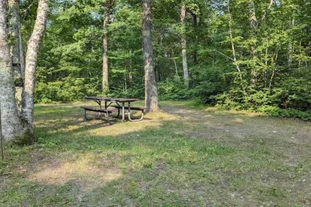 Mabel Lake Campground