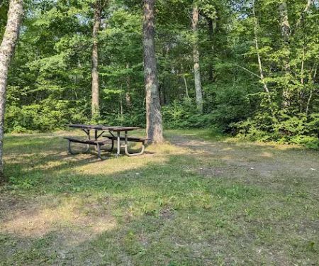 Mabel Lake Campground