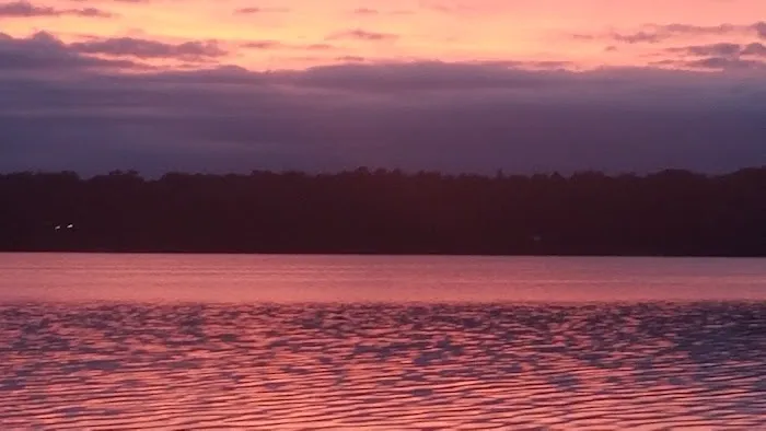 Mabel Lake Campground 6
