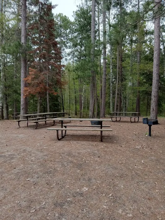 Group Camp 1