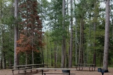 Group Camp