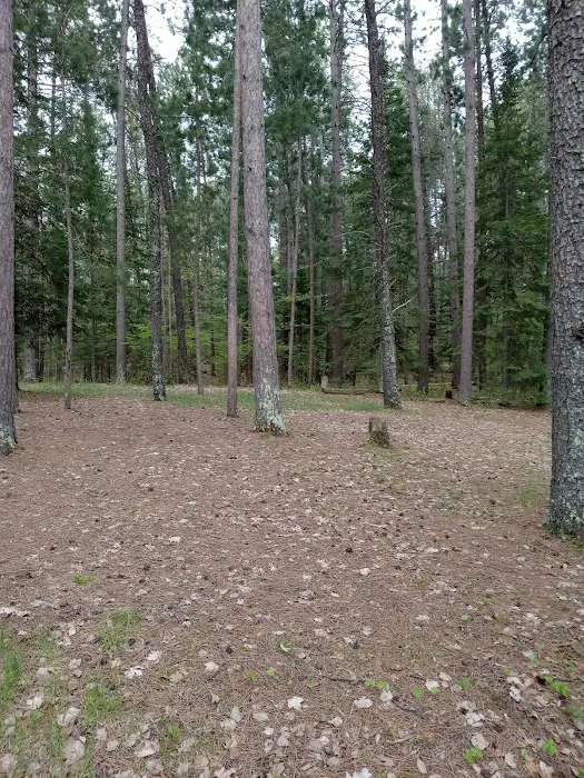 Group Camp 2