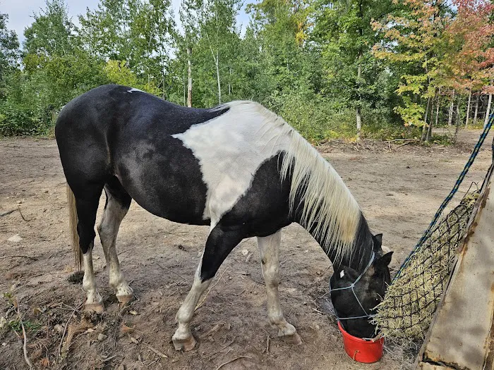 Walter E. Stark Assembly Area and Horse Campground 9