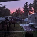 Walter E. Stark Assembly Area and Horse Campground