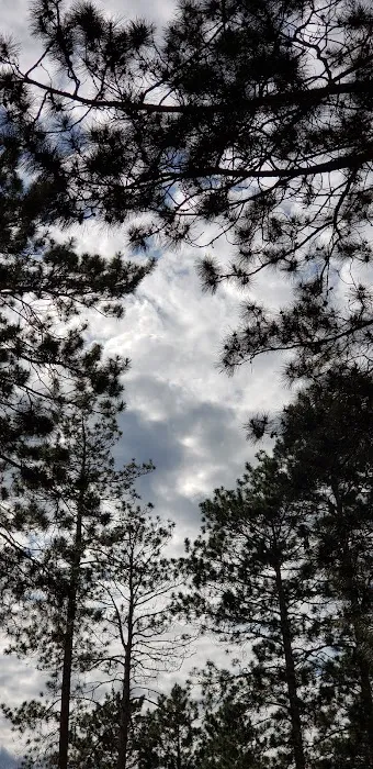 Fritz's Resort Campground 8