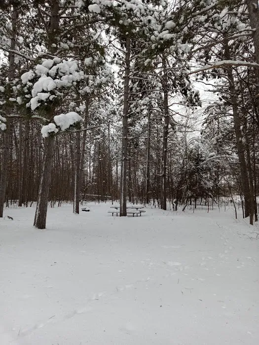 Rock Lake Campground 1