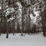 Rock Lake Campground