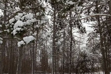 Rock Lake Campground
