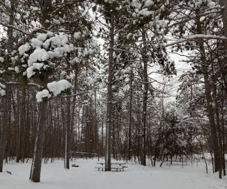 Rock Lake Campground