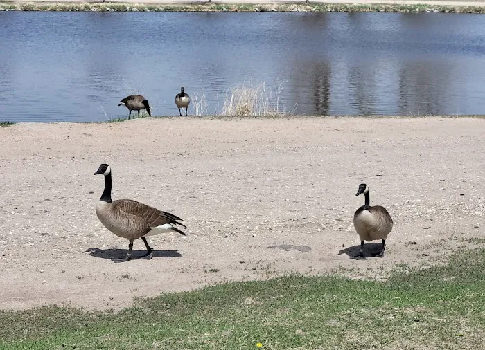 Crystal Springs Campground 1