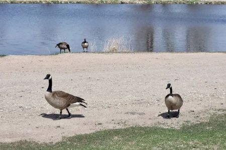 Crystal Springs Campground