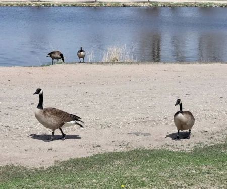 Crystal Springs Campground
