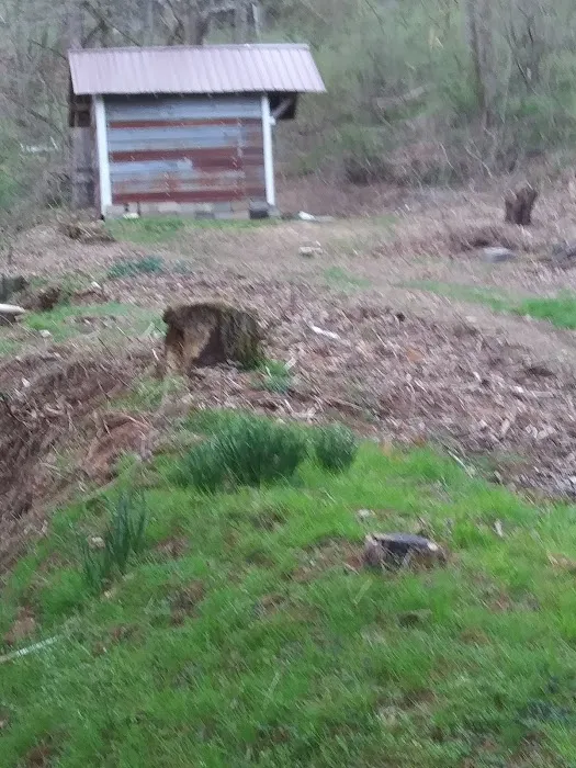 Sand Hill Mobile Home Park 5