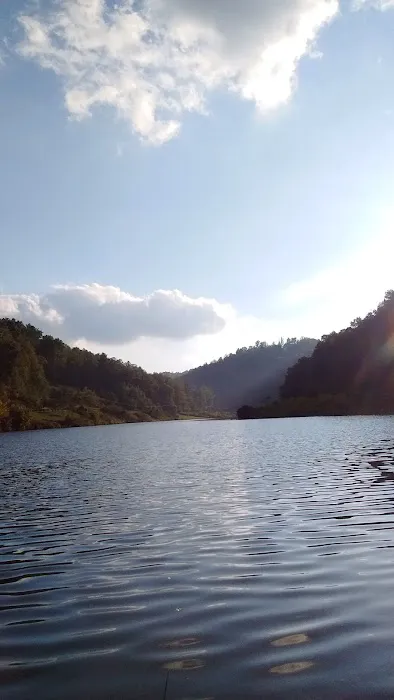 Curtisville Lake and Campground 8