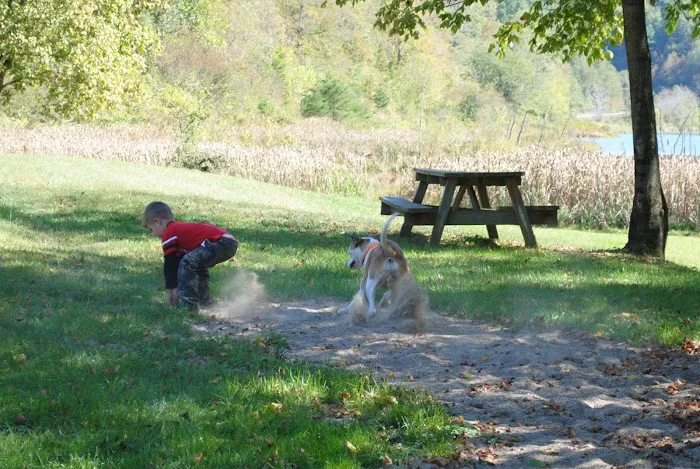 Curtisville Lake and Campground 10