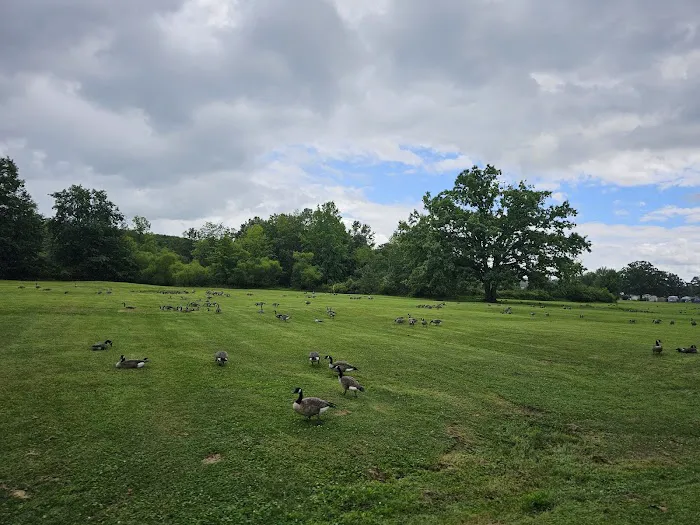 Plantation Park 10