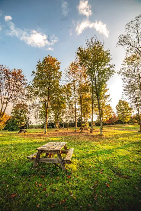 Breakneck Campground 1