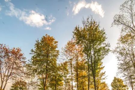 Breakneck Campground