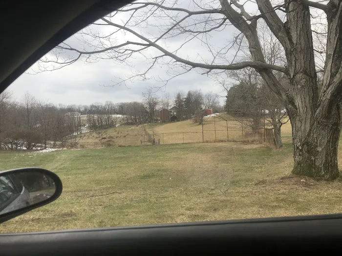 Oak Springs Mobile Home Park 4