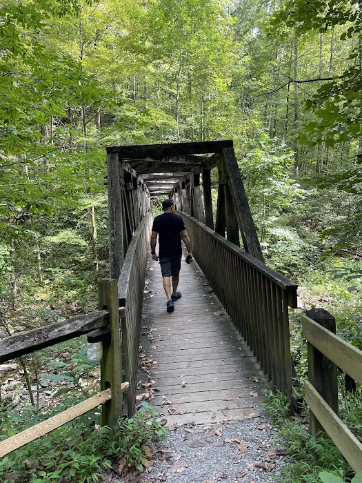 Lover's Leap Campground 4