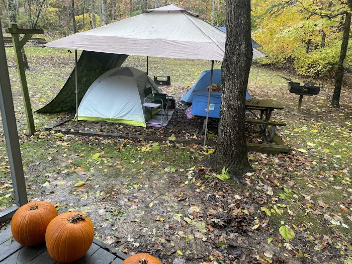 Primitive Campground 3
