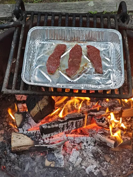 Primitive Campground 6
