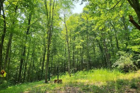 Hippie Trails Campground