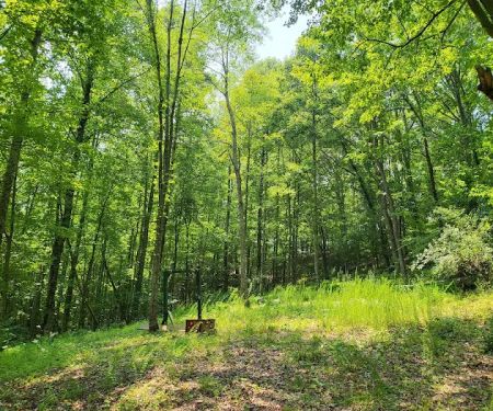 Hippie Trails Campground