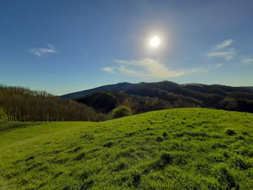 Clinch Mountain RV Park 5