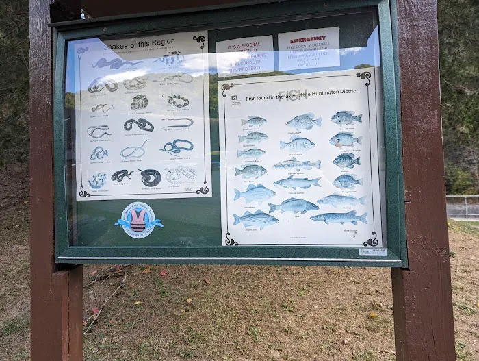 Coleman RV Park 10