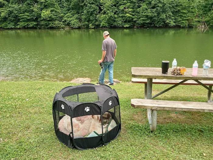 Grapevine Campground 2