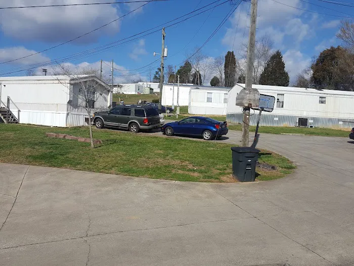 David Leedy Trailer Park 4