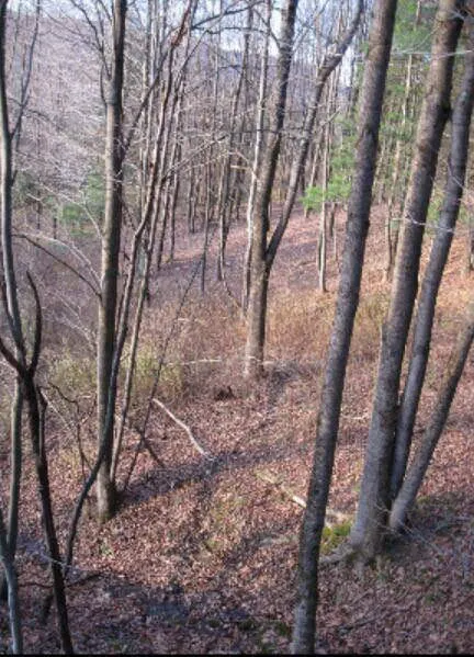 Mt View Acres 1