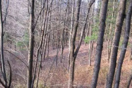Mt View Acres