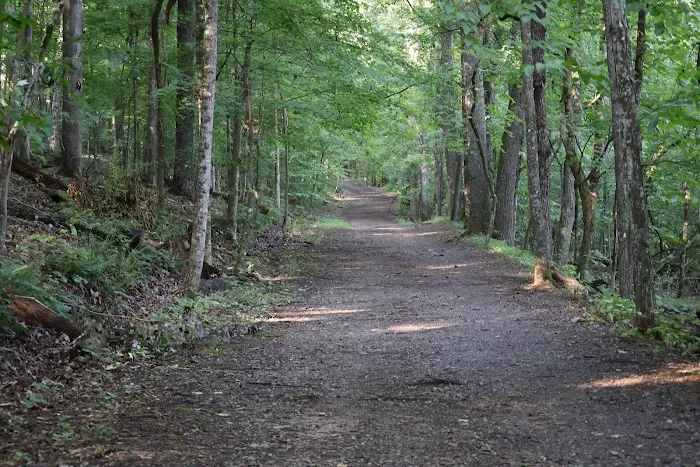 Panther Creek State Park Campground 6