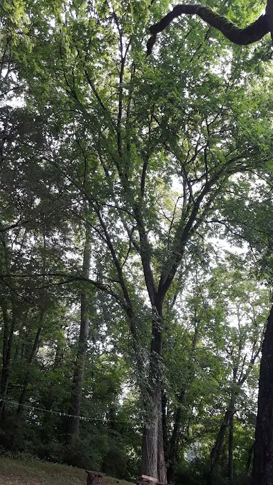 Cherokee Park Campground 9