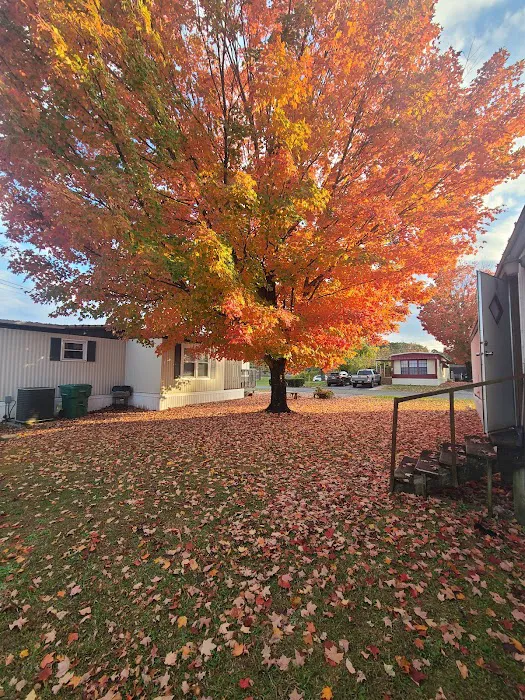 Crestmore Pointe Mobile Home Park 4